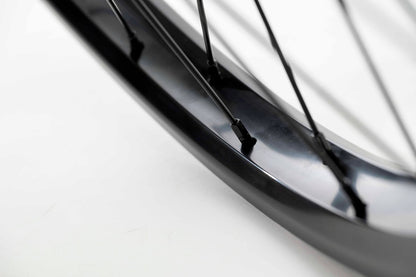 Heresy Torment Freecoaster Laufrad / Wheel