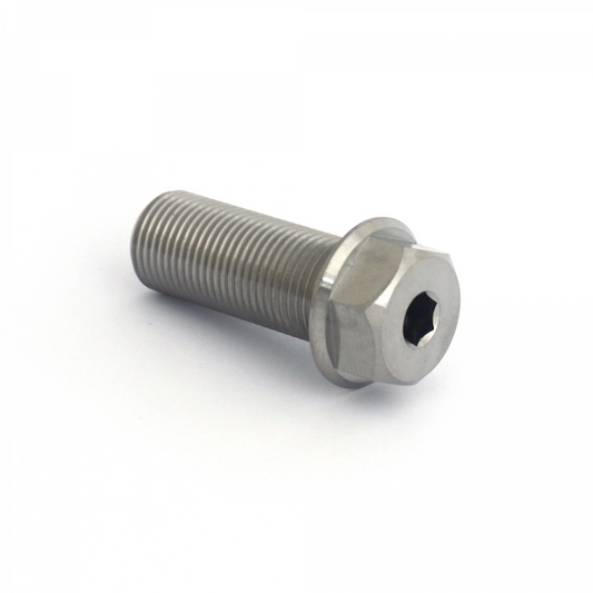 Armour Bikes Titanium 14x1mm Female Schraube / Bolt Raw
