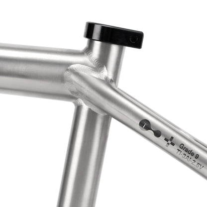 wethepeople_JACKAL_titanium_frame_20tt_brushed-ti_9