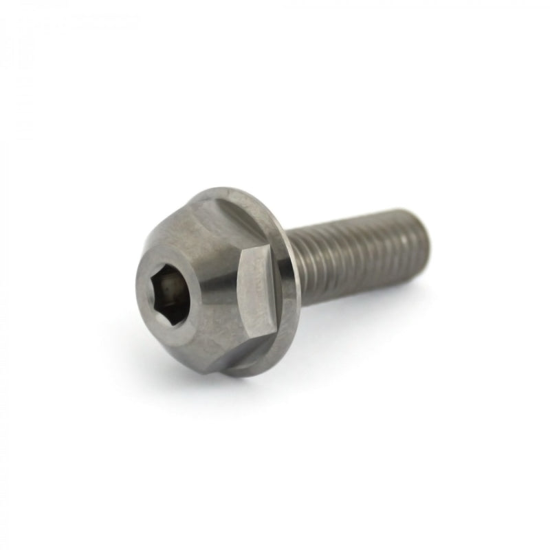 Armour Bikes Profile Titanium Female Schraube / Bolt Raw