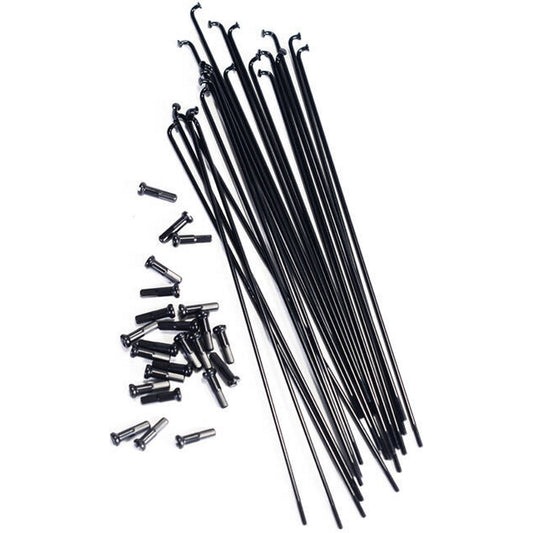 Colony Plain Gauge 20pcs. Speichen / Spokes Black